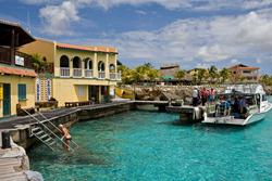 Bonaire Buddy Dives for FREE Offer Bonaire Buddy Dives for FREE Offer